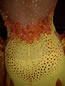 Ballroom Latin Dance Costumes for Sale